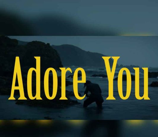 Adore You - Harry Styles