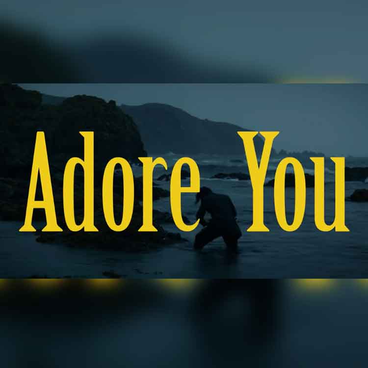 Adore You - Harry Styles - Https://wavwax.com/adore-you-harry-styles/