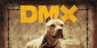 Shot DownDMX Feat. 50 Cent & Styles P