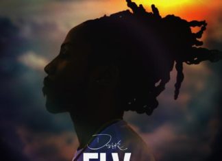 Fly - D Smoke Feat. Davion Farris