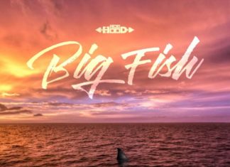 Big Fish - Ace Hood