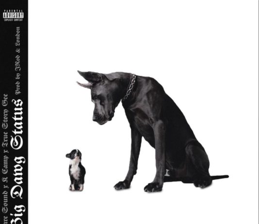 Big Dawg Status - K Camp, True Story Gee