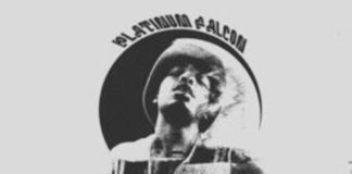 Platinum Falcon – Guapdad 4000
