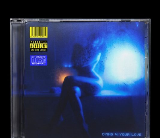 Dying 4 Your Love - Snoh Aalegra