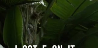 I Got 5 On It - Dave East