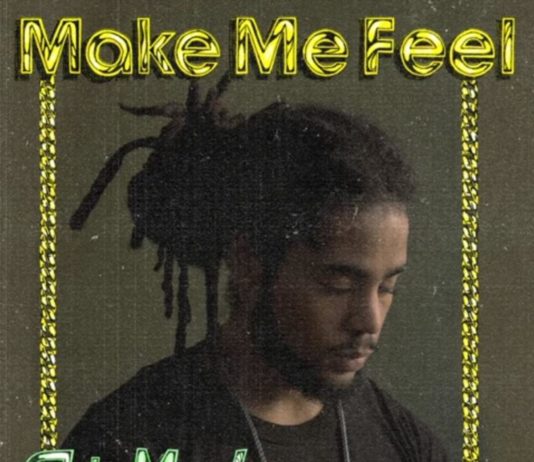 Make Me Feel (Remix) – Skip Marley Feat. Rick Ross & Ari Lennox Make Me Feel (Remix) - Skip Marley Feat. Rick Ross & Ari Lennox