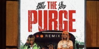 The Purge (Remix) - Baby Jungle Feat. Lil Keed