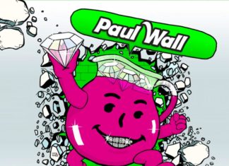 Ice Man - Paul Wall