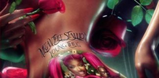 Don't Stop - Megan Thee Stallion Feat. Young Thug