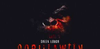 Still New York Sh*t – Sheek Louch Feat. Joell Ortiz Still New York Shit - Sheek Louch Feat. Joell Ortiz