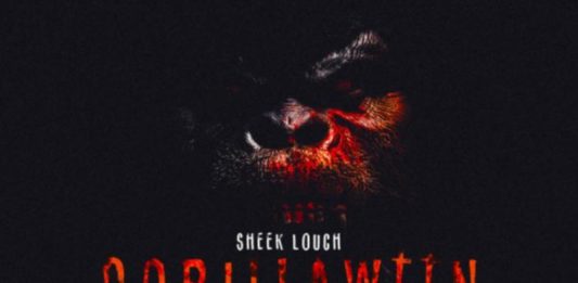 Still New York Shit - Sheek Louch Feat. Joell Ortiz