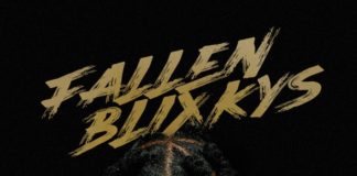 Fallen Blixkys - 22Gz