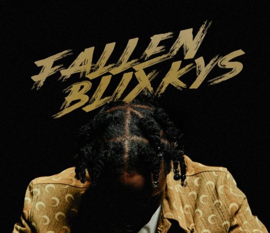 Fallen Blixkys - 22Gz