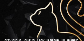 Pussy Talk (Remix) - City Girls, Quavo & Lil Wayne Feat. Jack Harlow