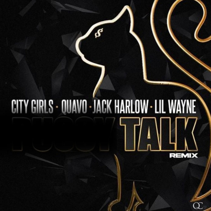 Pussy Talk (Remix) - City Girls, Quavo & Lil Wayne Feat. Jack Harlow