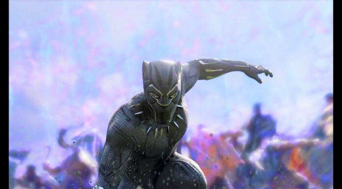 Which direction will Marvel go in the Black Panther franchise?