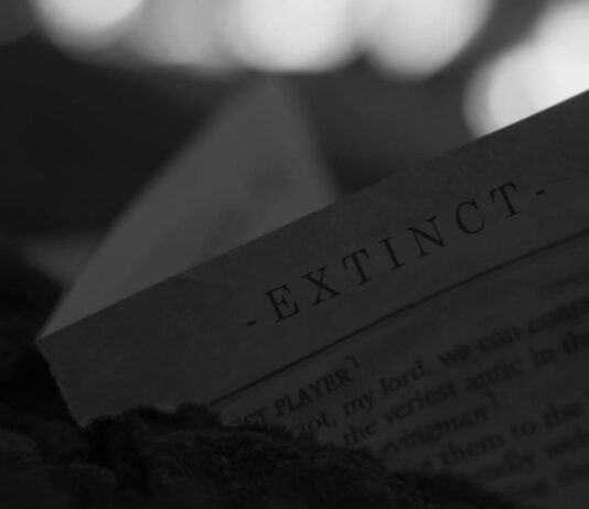 Extinct (Extended) – Reason Feat. Joey Bada$$, Westside Boogie, Jack Harlow & Denzel Curry Extinct (Extended) - Reason Feat. Joey Bada$$, Westside Boogie, Jack Harlow & Denzel Curry