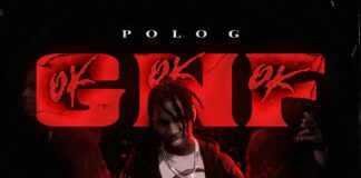 GNF (OKOKOK) - Polo G