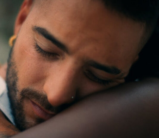 Agua de Jamaica - Maluma