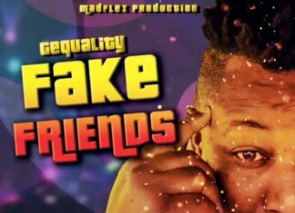 Fake Friends - GeQuality