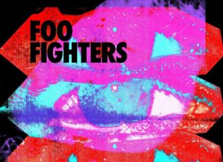 Chasing Birds - Foo Fighters