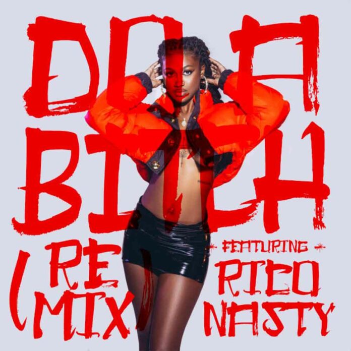 Do A B*tch (Remix) - Kali Feat. Rico Nasty