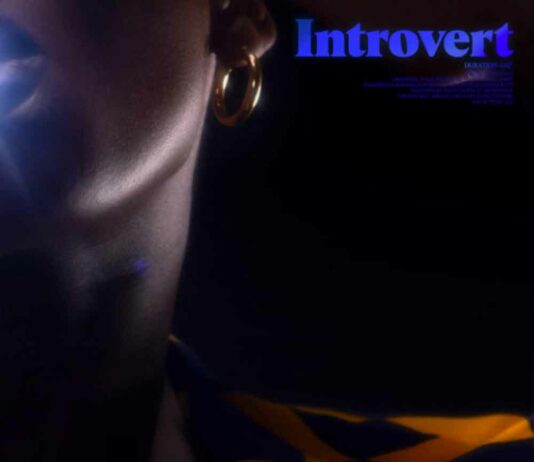 Introvert – Little Simz Introvert - Little Simz