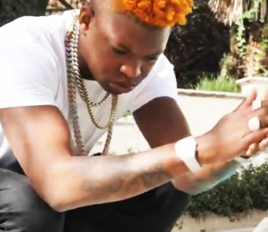 Lemon Pepper Freestyle – Yung Bleu Lemon Pepper Freestyle - Yung Bleu