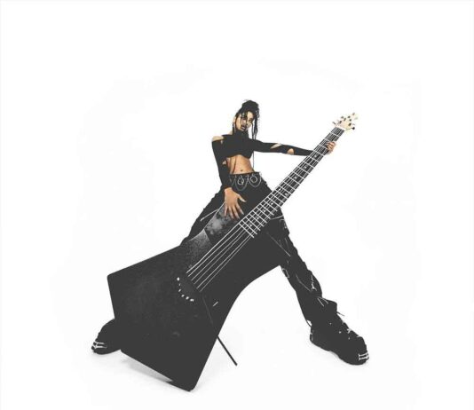 t r a n s p a r e n t s o u l - Willow Smith Feat. Travis Barker