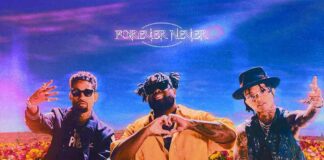 Forever Never - PnB Rock Feat. Swae Lee & Pink Sweat$