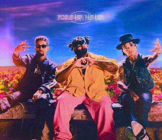 Forever Never - PnB Rock Feat. Swae Lee & Pink Sweat$