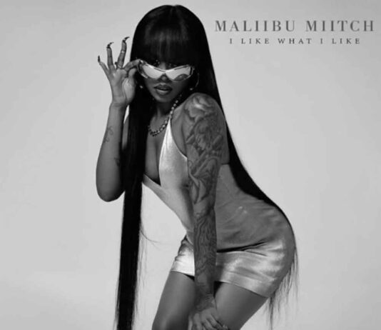 I Like What I Like - Maliibu Miitch