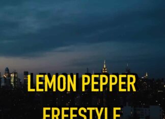 Lemon Pepper Freestyle - Meek Mill