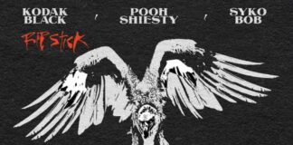 Rip Stick – Kodak Black Feat. Sykobob & Pooh Shiesty Rip Stick - Kodak Black Feat. Sykobob & Pooh Shiesty