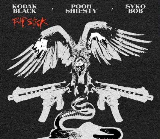 Rip Stick - Kodak Black Feat. Sykobob & Pooh Shiesty