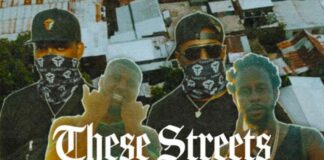 These Streets (Don't Luv U) - The FaNaTiX Feat. Popcaan & M1LLIONZ