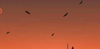 Vultures – Dark Lo & Harry Fraud Feat. Ar-Ab Vultures - Dark Lo & Harry Fraud Feat. Ar-Ab