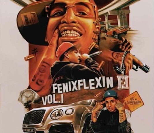 NDS – Fenix Flexin NDS - Fenix Flexin