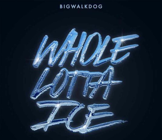 Whole Lotta Ice - BigWalkDog Feat. Lil Baby & Pooh Shiesty