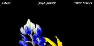 Down South - Wale Feat. Yella Beezy & Maxo Kream