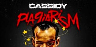 Plagiarism - Cassidy