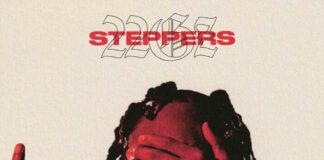 Steppers – 22Gz Steppers - 22Gz