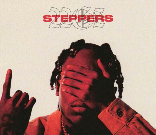 Steppers - 22Gz