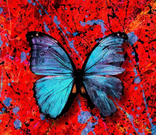 Visiting Hours - Ed Sheeran