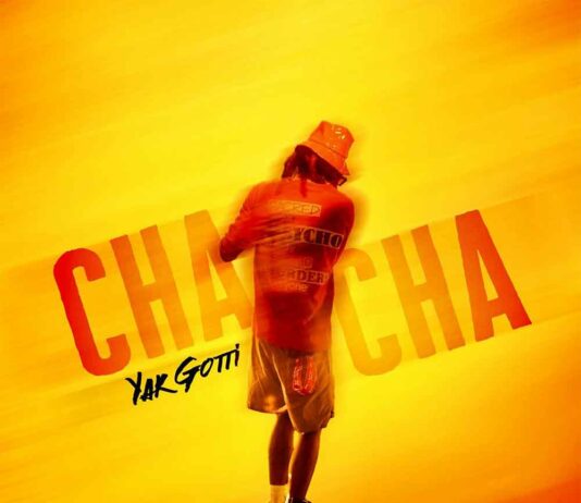 Cha Cha Slide – Yak Gotti & Young Stoner Life Cha Cha Slide - Yak Gotti & Young Stoner Life