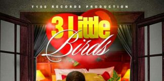 3 Little Birds - Vybz Kartel