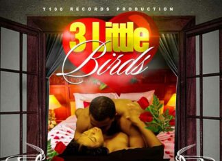 3 Little Birds - Vybz Kartel