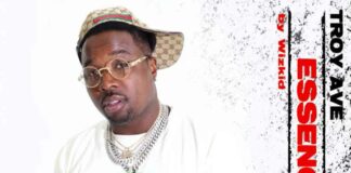 Essence (KeyMix) - Troy Ave
