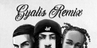 Gyalis (Remix) - Capella Grey Feat. Chris Brown & Popcaan