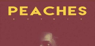 Peaches (RoyMix) - Roy Woods 